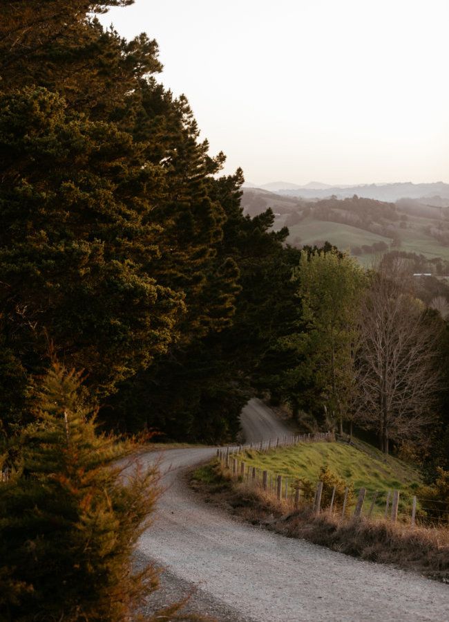 A country road through the hills of the Matakana Coast