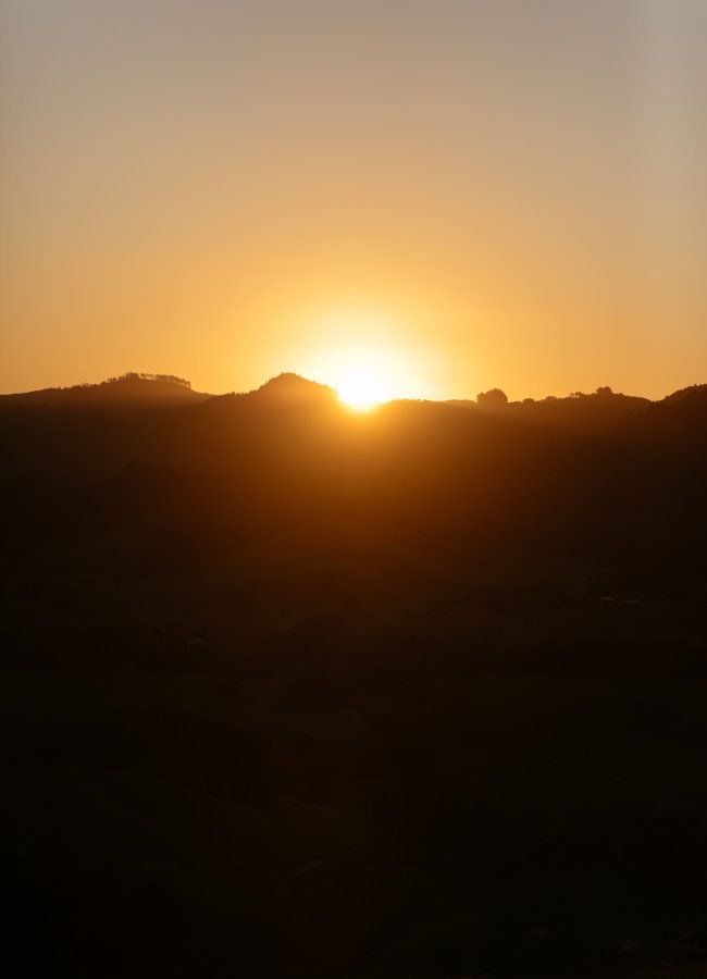 Sunrise over the Matakana hills